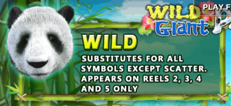 Wild Giant Panda wild